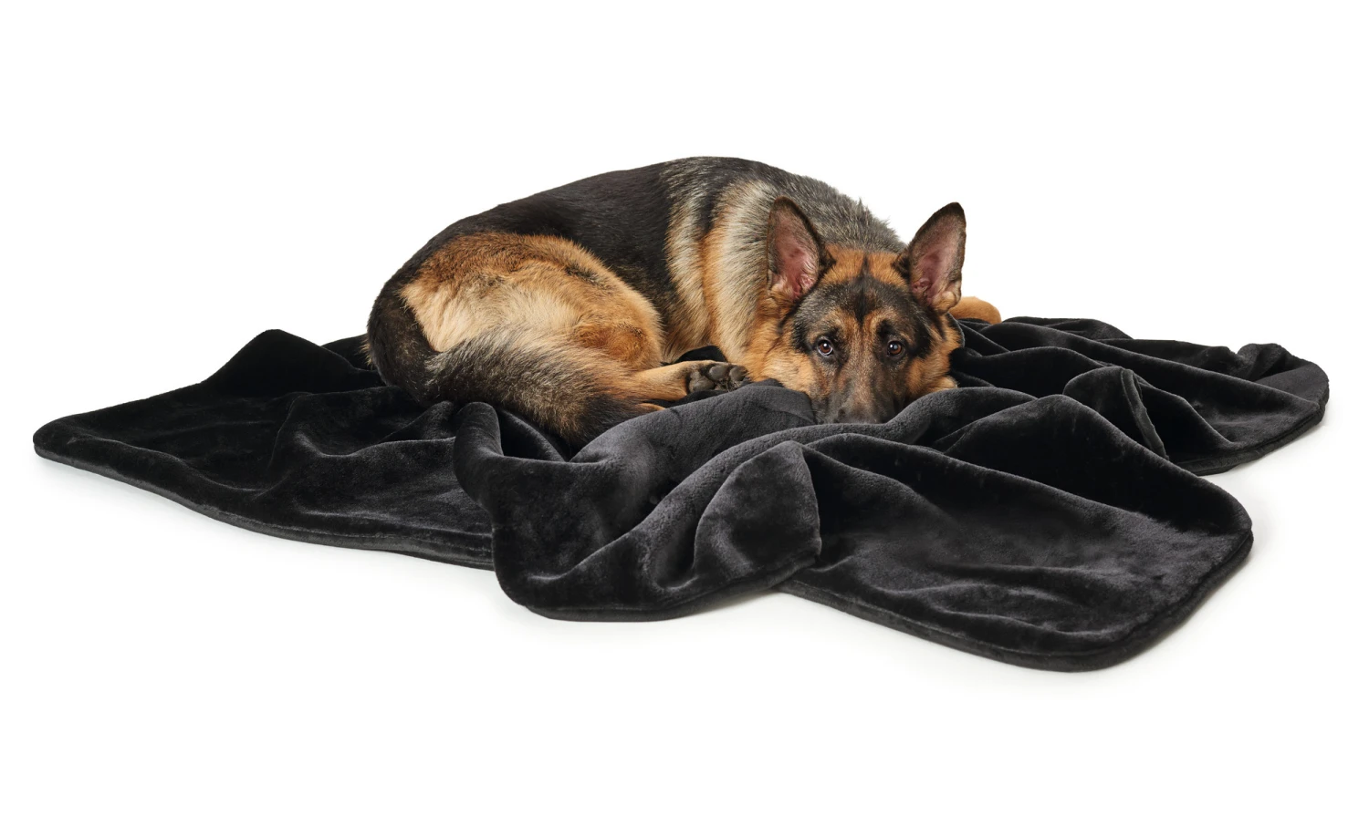 Hunter Hondendeken Konstanz Zwart 5 Hunter Hondendeken Konstanz Zwart - Afbeelding 3