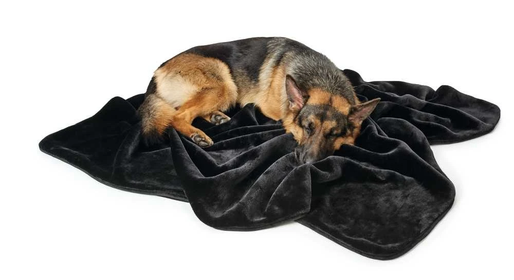 Hunter Hondendeken Konstanz Zwart 6 Hunter Hondendeken Konstanz Zwart - Afbeelding 4