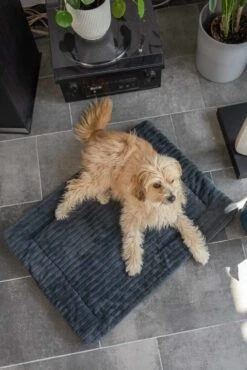 TrendPet Hondendeken Harmony Grijs 11 TrendPet Hondendeken Harmony Grijs -Huisdierbenodigdheden image 2332