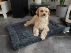 TrendPet Hondendeken Harmony Grijs 12 TrendPet Hondendeken Harmony Grijs -Huisdierbenodigdheden image 2333