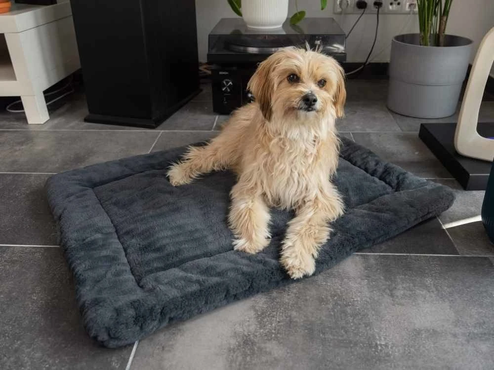 TrendPet Hondendeken Harmony Grijs 6 TrendPet Hondendeken Harmony Grijs - Afbeelding 4