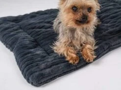 TrendPet Hondendeken Harmony Grijs 13 TrendPet Hondendeken Harmony Grijs -Huisdierbenodigdheden image 2334