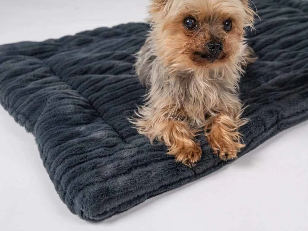 TrendPet Hondendeken Harmony Grijs 7 TrendPet Hondendeken Harmony Grijs - Afbeelding 5