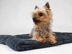 TrendPet Hondendeken Harmony Grijs 14 TrendPet Hondendeken Harmony Grijs -Huisdierbenodigdheden image 2335