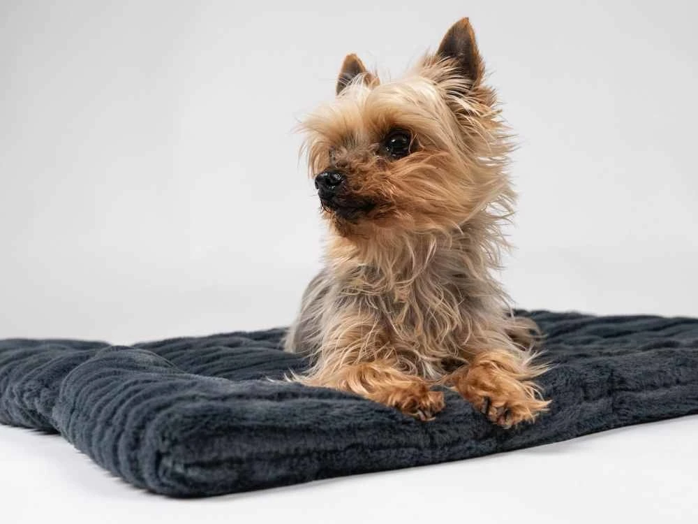TrendPet Hondendeken Harmony Grijs 8 TrendPet Hondendeken Harmony Grijs - Afbeelding 6