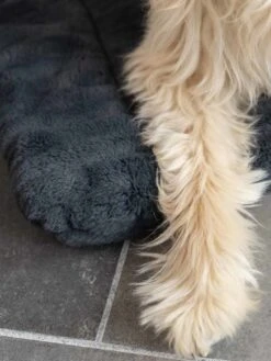 TrendPet Hondendeken Harmony Grijs 15 TrendPet Hondendeken Harmony Grijs -Huisdierbenodigdheden image 2336