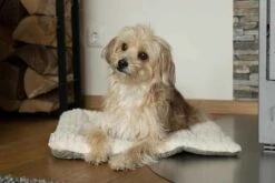 TrendPet Hondendeken Heaven Beige 15 TrendPet Hondendeken Heaven Beige -Huisdierbenodigdheden image 2347