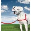 Petsafe Anti-Trek Hondentuig Easy Walk ® Rood -Huisdierbenodigdheden image 236