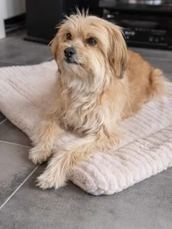 TrendPet Hondendeken Harmony Beige -Huisdierbenodigdheden image 2363