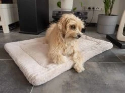 TrendPet Hondendeken Harmony Beige -Huisdierbenodigdheden image 2364