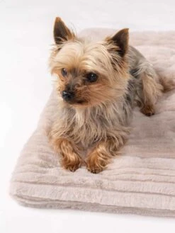 TrendPet Hondendeken Harmony Beige -Huisdierbenodigdheden image 2365