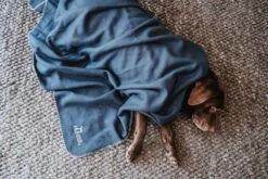 Hunter Hondendeken Casper Blauw -Huisdierbenodigdheden image 2379