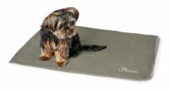 Hunter Hondendeken Casper Groen 11 Hunter Hondendeken Casper Groen -Huisdierbenodigdheden image 2392