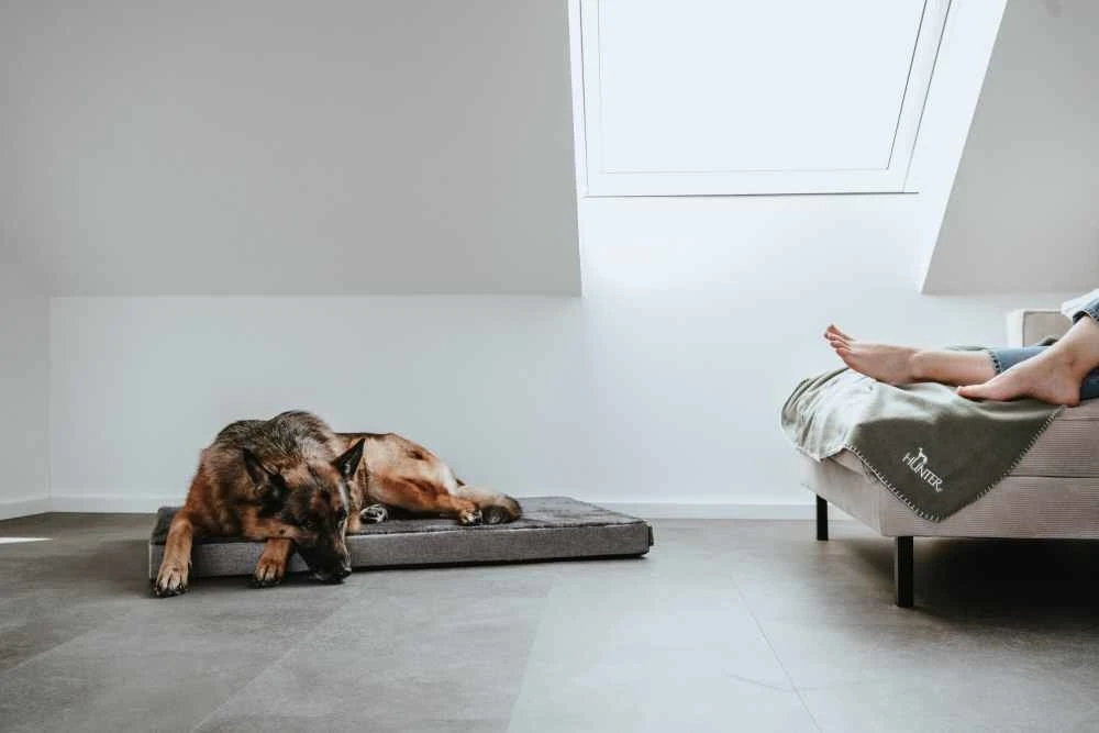 Hunter Hondendeken Casper Groen 7 Hunter Hondendeken Casper Groen - Afbeelding 5