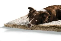 Hunter Hondendeken Astana Beige -Huisdierbenodigdheden image 2400