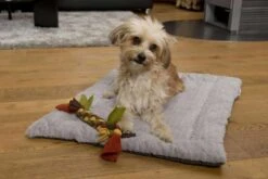 TrendPet Hondendeken Heaven Grijs -Huisdierbenodigdheden image 2411