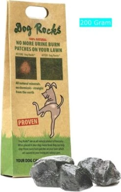 Dog Rocks -Huisdierbenodigdheden image 2469
