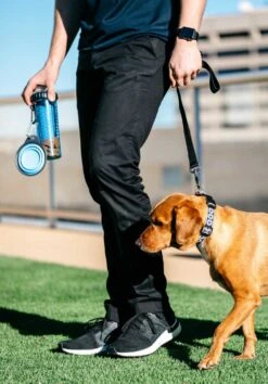 Dexas Snack Duo Met Travel Cup Pro Blue -Huisdierbenodigdheden image 2543