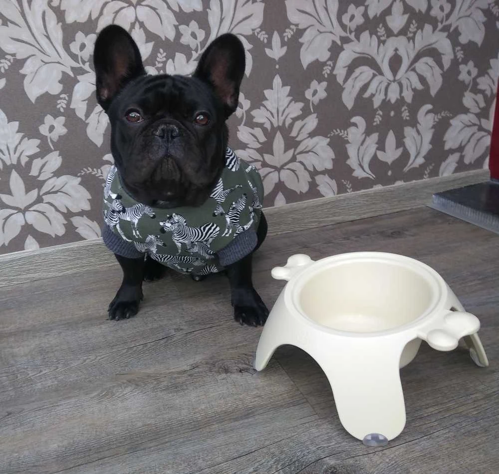 Petego Drinkbak Of Voerbak Yoga Ivoor 4 Petego Drinkbak Of Voerbak Yoga Ivoor - Afbeelding 2