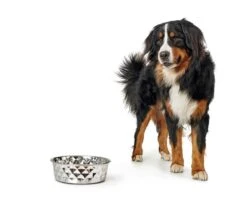 Hunter Drinkbak Of Voerbak Namy -Huisdierbenodigdheden image 2574