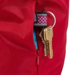 Kurgo Draagbare Voercontainer Kibble Carrier Rood -Huisdierbenodigdheden image 2589