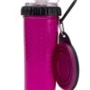Dexas Snack Duo Met Travel Cup Fuchsia -Huisdierbenodigdheden image 2594