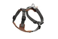 Hunter Hondentuig Aalborg Mixed Cognac