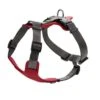 Hunter Hondentuig Aalborg Mixed Rood -Huisdierbenodigdheden image 266