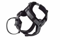 Hunter Veiligheidsharnas Maldon Zwart -Huisdierbenodigdheden image 27