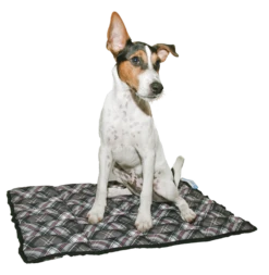 Aqua Coolkeeper Koelmat Scottish Grey -Huisdierbenodigdheden image 27