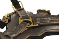 Dean And Tyler Hondentuig The Victory -Huisdierbenodigdheden image 274