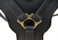 Dean And Tyler Hondentuig The Victory -Huisdierbenodigdheden image 278