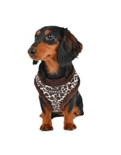 Puppia Hondentuig Leonard Bruin 9 Puppia Hondentuig Leonard Bruin -Huisdierbenodigdheden image 283