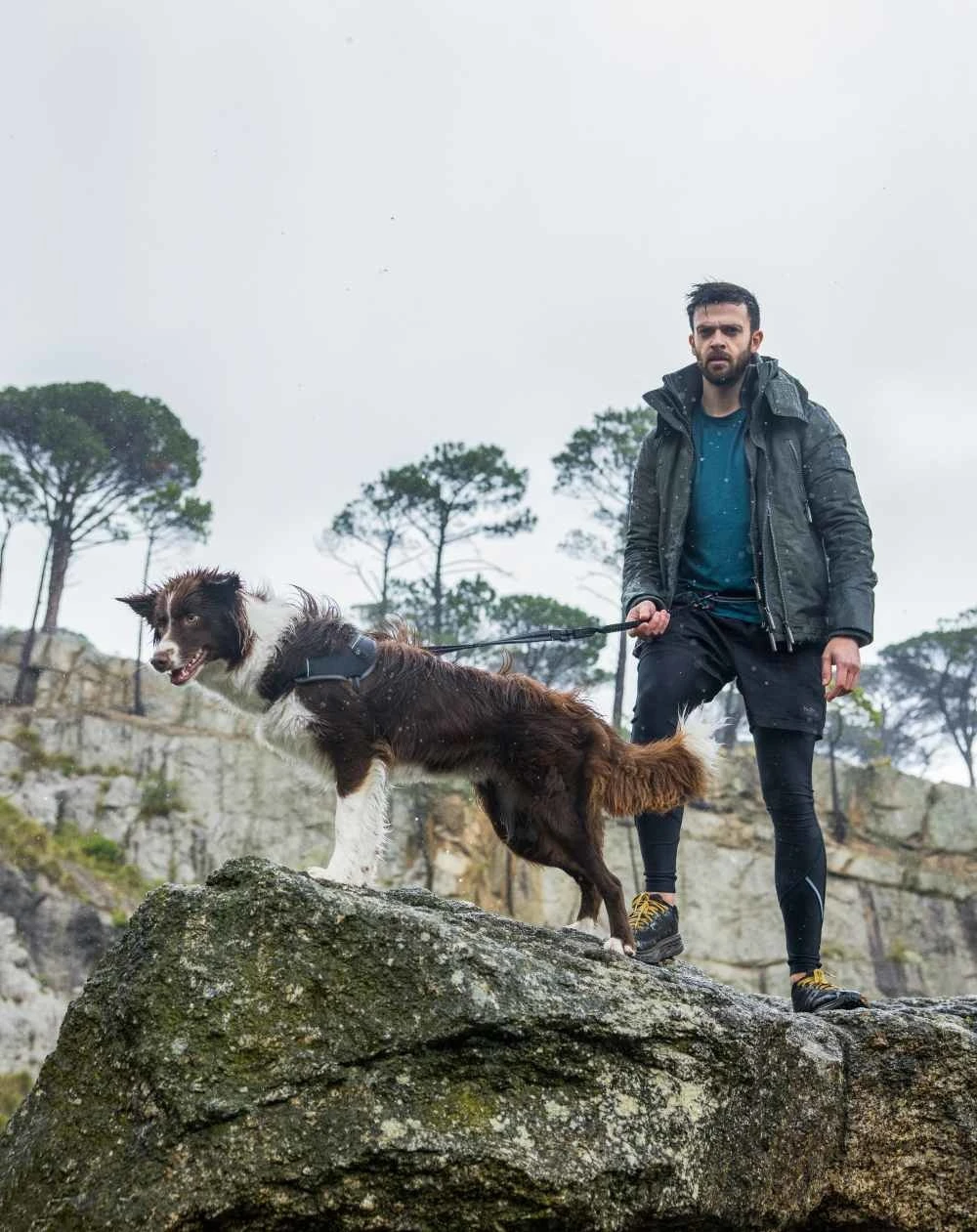 Rogz Hondentuig Airtech Sport Grijs 4 Rogz Hondentuig Airtech Sport Grijs - Afbeelding 2