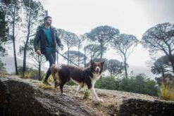 Rogz Hondentuig Airtech Sport Grijs 8 Rogz Hondentuig Airtech Sport Grijs -Huisdierbenodigdheden image 286