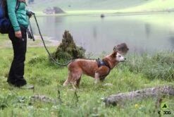 EQDOG Hondentuig Classic Harness Zwart