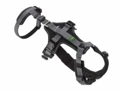 Hunter Veiligheidsharnas Maldon Zwart -Huisdierbenodigdheden image 29