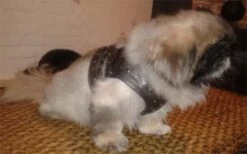 Doxtasy Hondentuig Comfy Harnass Full Metal Jacket -Huisdierbenodigdheden image 301