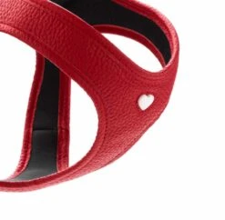 Hunter Hondentuig Love 13 Hunter Hondentuig Love -Huisdierbenodigdheden image 311