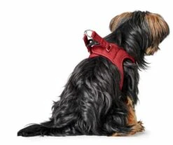 Hunter Hondentuig Love 14 Hunter Hondentuig Love -Huisdierbenodigdheden image 312