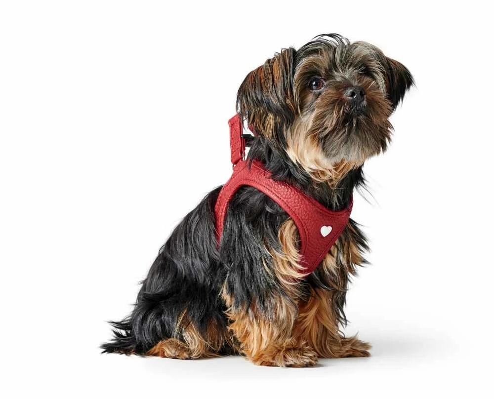 Hunter Hondentuig Love 8 Hunter Hondentuig Love - Afbeelding 6