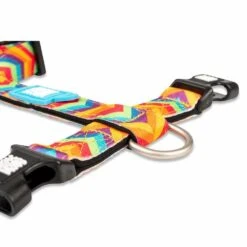 Max & Molly Hondentuig Summertime -Huisdierbenodigdheden image 333