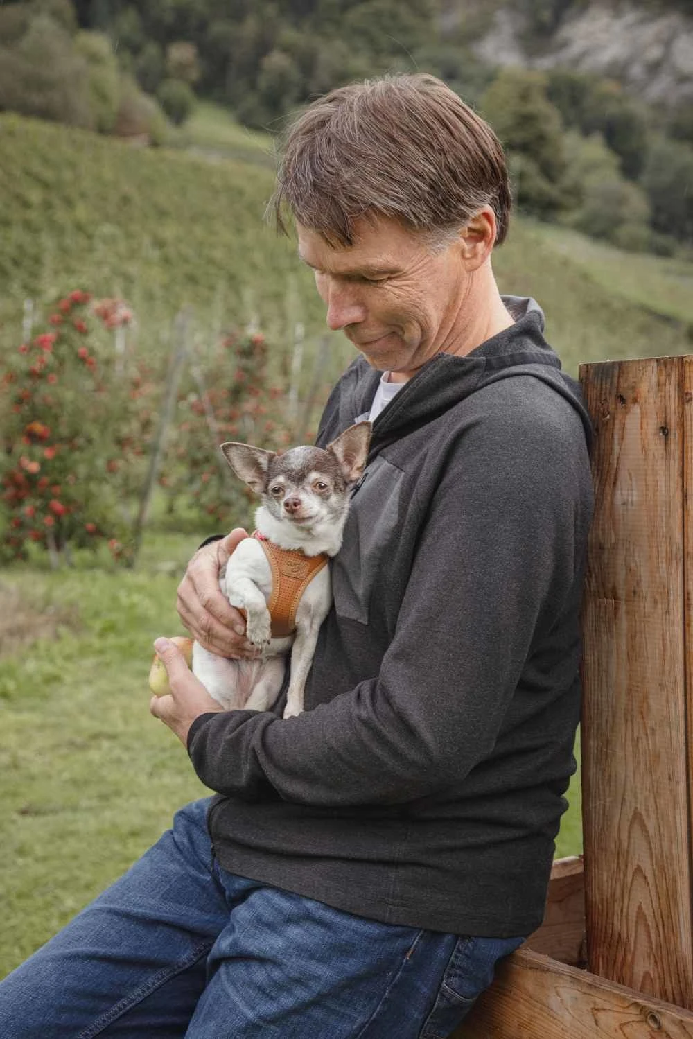 Curli Hondentuig Clasp Vest Apple Leather Bruin 4 Curli Hondentuig Clasp Vest Apple Leather Bruin - Afbeelding 2