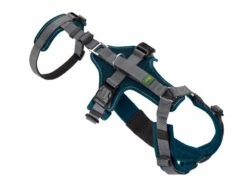 Hunter Veiligheidsharnas Maldon Teal -Huisdierbenodigdheden image 36