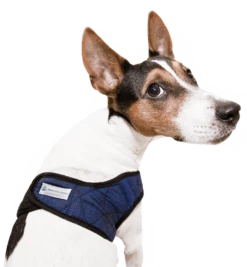 Aqua Coolkeeper Koel Harnas Comfy Pacific Blue -Huisdierbenodigdheden image 36