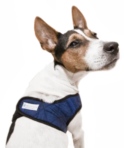 Aqua Coolkeeper Koel Harnas Comfy Pacific Blue -Huisdierbenodigdheden image 37