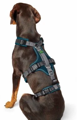 Hunter Veiligheidsharnas Maldon Teal -Huisdierbenodigdheden image 37