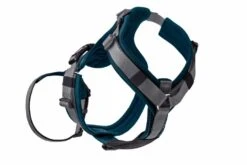 Hunter Veiligheidsharnas Maldon Teal -Huisdierbenodigdheden image 39
