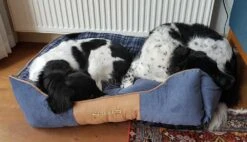 Scruffs Hondenmand Highland Blauw 15 Scruffs Hondenmand Highland Blauw -Huisdierbenodigdheden image 396