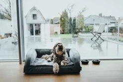 Hunter Orthopedische Hondenmand Livingstone -Huisdierbenodigdheden image 405